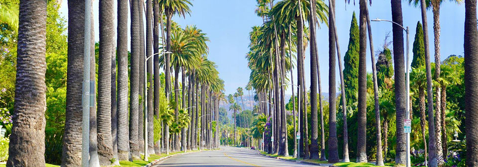 Los Angeles, CA photo