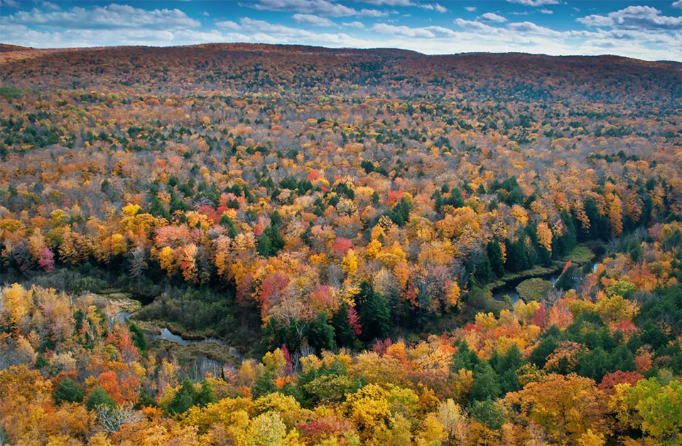 Michigan photo
